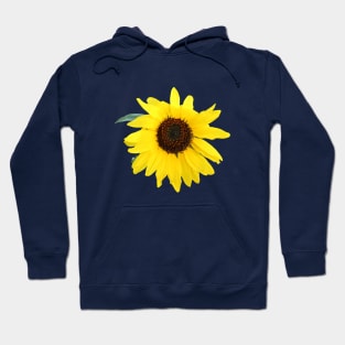 One Sunflower Windy Day Hoodie